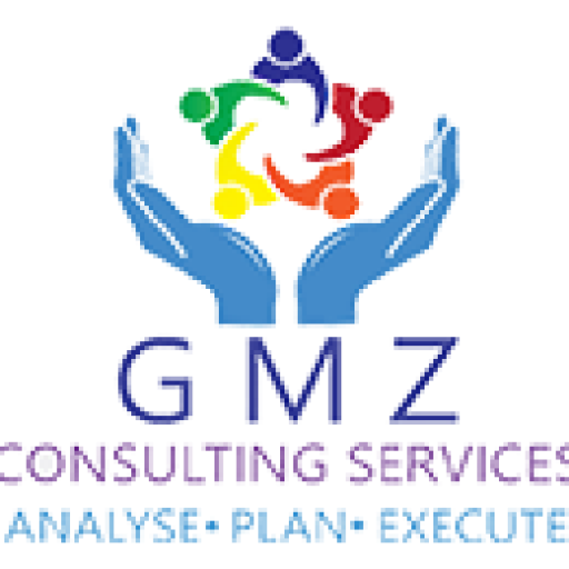 gmz consulting services